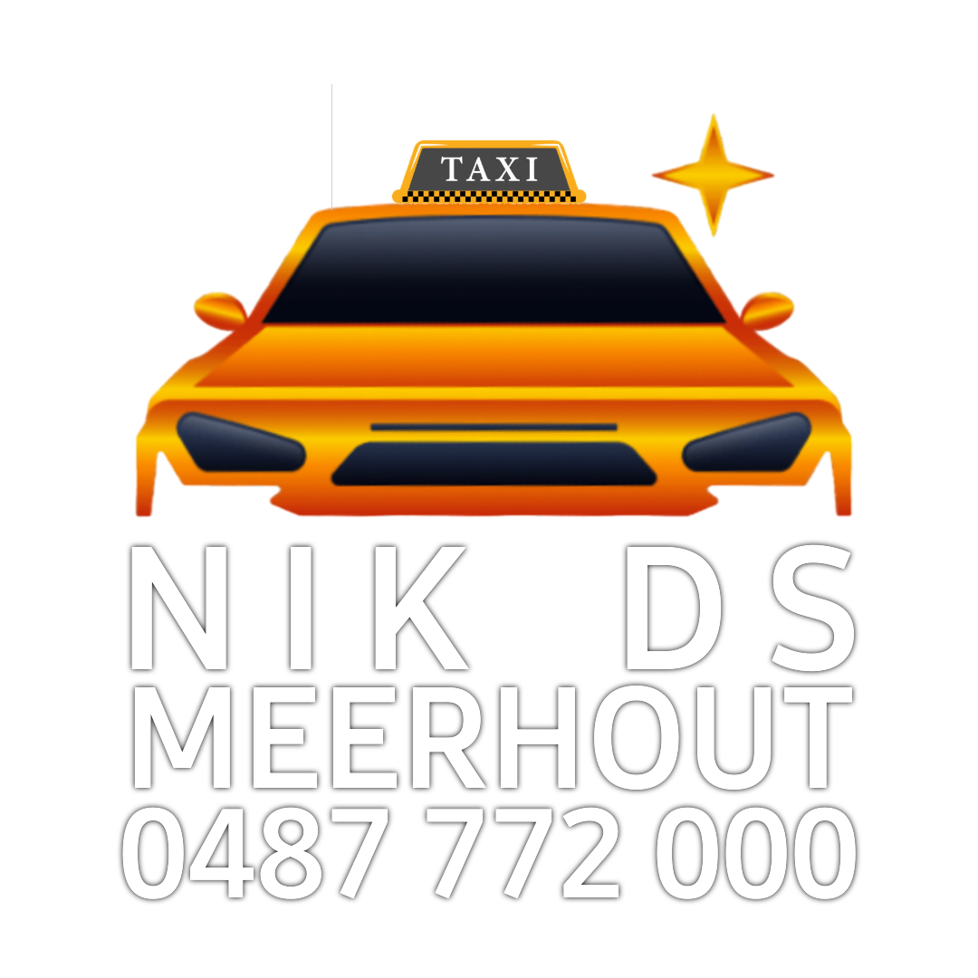 Taxi Nik DS Meerhout logo